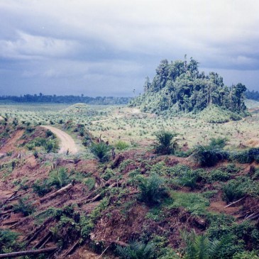 Indonesia – SW Sulawesi