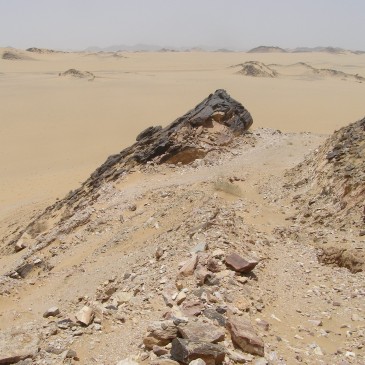Saudi Arabia